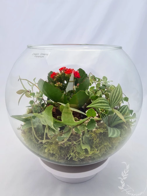 Kozepes_Florarium_CN6_gömb_uvegkehely_narancssarga_elevenzold_novenydisz