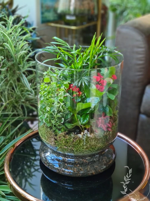 Kozepes_Florarium_CN5_rozsaszin_talpas_uvegkehely_elevenzold_novenydisz
