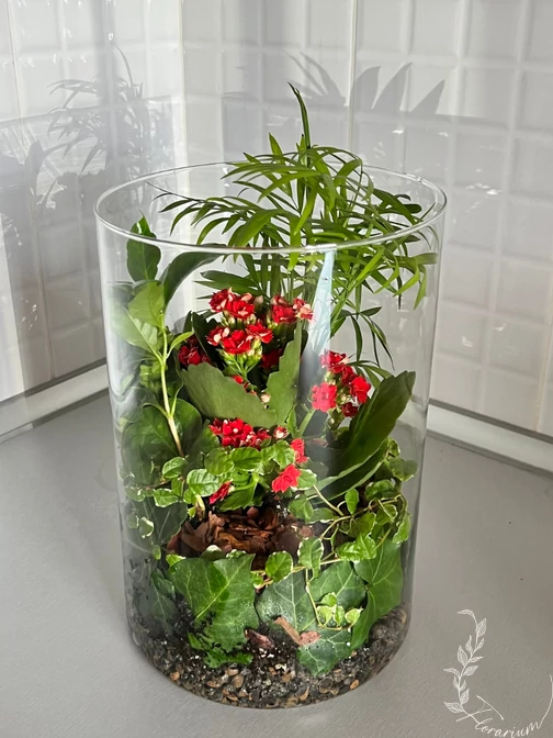 Kozepes_Florarium_CN4_citromsarga_falevel_uvegkehely_elevenzold_novenydisz