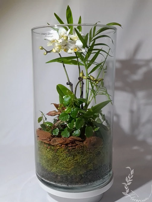 Premium_Florarium_EO2_henger_uvegkehelyben_elevenzold_novenydisz