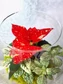 Kép 4/5 - Karacsonyi_Florarium_CN7_gömb_uvegkehely_mikulasviraggal_elevenzold_novenydisz
