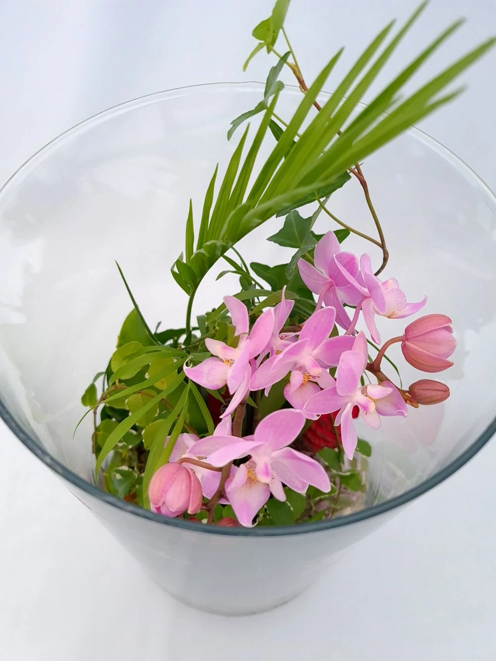 Exkluzív, kész floráriumok Exkluziv-florariumok-elevenzold-novenydisz-elegans-mini-oazis